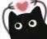 :blackcat_11111: :blackcat_11111: