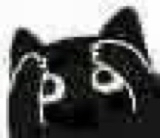 :blackcat_11112: :blackcat_11112: