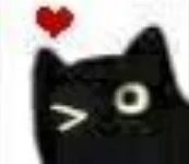 :blackcat_winklove: