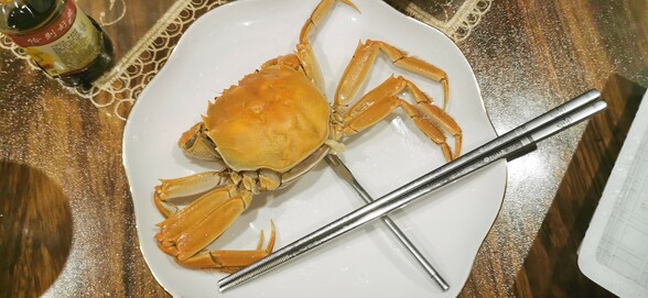 中华绒螯蟹